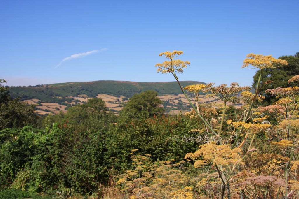 Views- click for photo gallery
